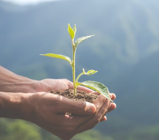 Environnement